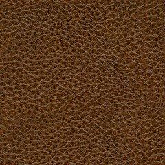 Francesca Power Reclining Sofa