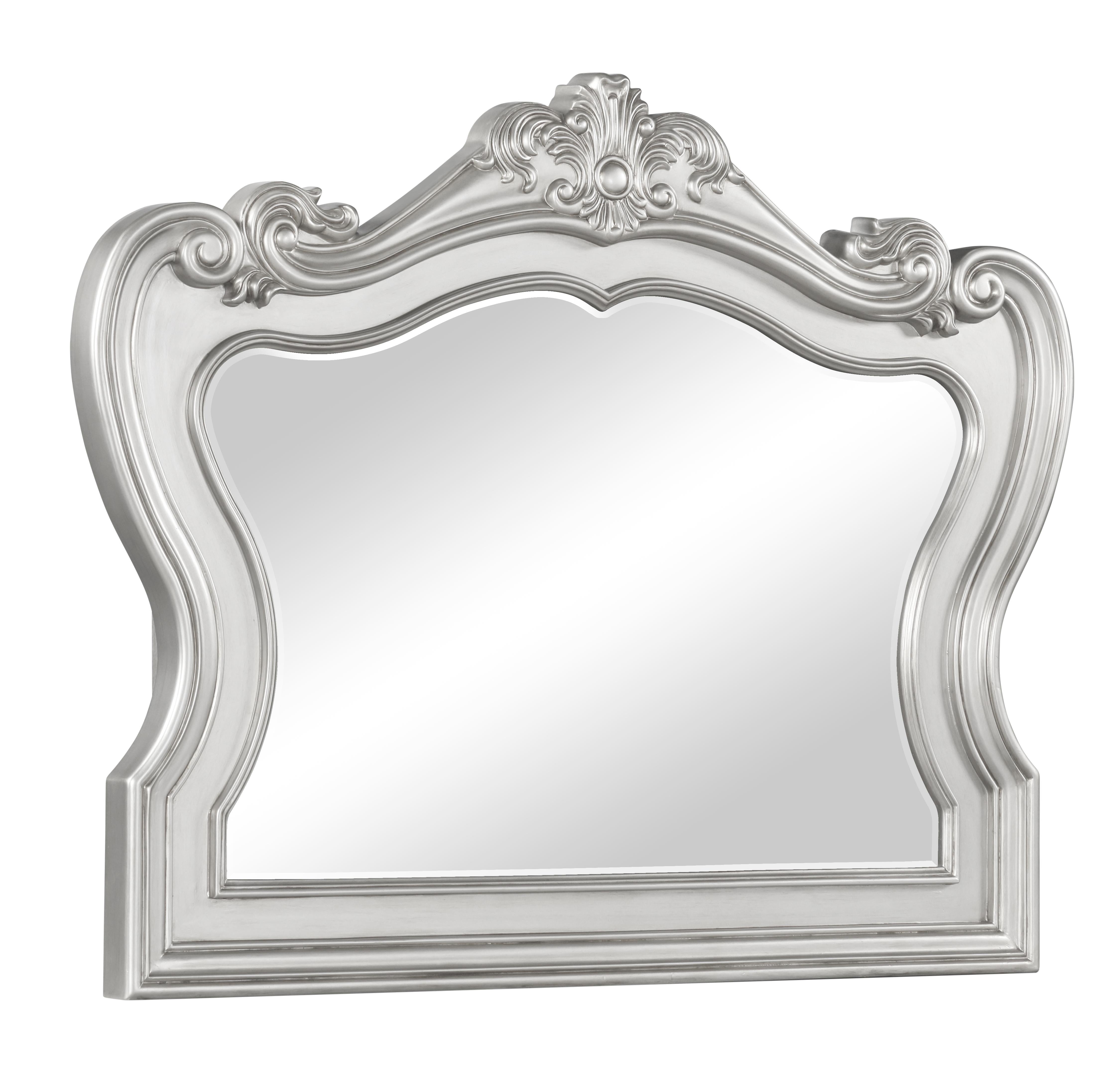Adriana Transitional Style Mirror in Silver finish Wood