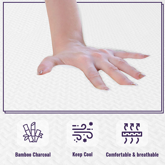 Nasturtium 12" Twin Bamboo Charcoal Infused Memory Foam